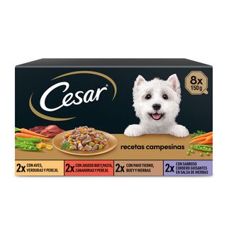 Cesar Receta campesina tarrina en Salsa para Perros - Multipack